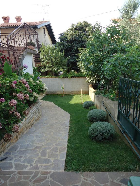 Apartments Mirela Novigrad  Room photo